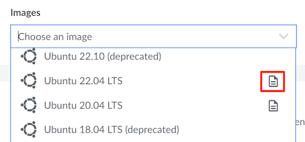 Screenshot showing icon that indicates user data and cloud-init support for a distribution